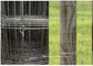 Galvanized Grassland গবাদি ওয়্যার বেড়া / পাখির জন্য নির্দিষ্ট নট বুনন হরিণ বেড়া সরবরাহকারী